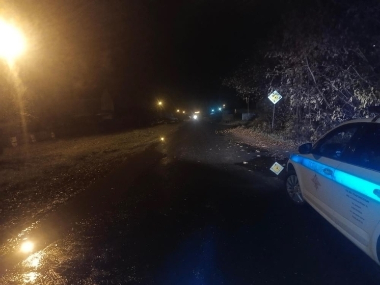 Вечером 22 октября в Марий Эл сбили двух пешеходов