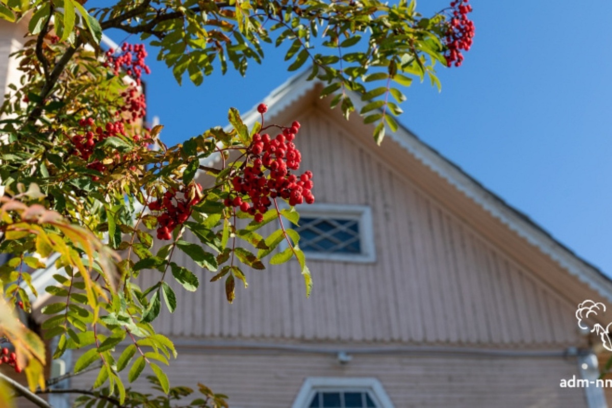 В Роскадастре НАО растолковали нюансы невостребованных документов