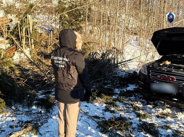 В Карелии суд вынес приговор лесорубу, случайно убившего автомобилиста