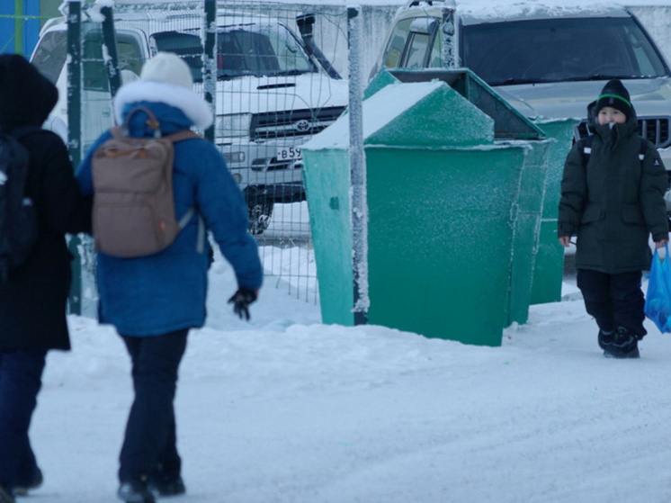 Дополнительные площадки для сбора мусора благоустроят в столице Чукотки