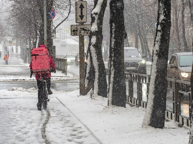 Курьеров могут оставить без электровелосипедов и электросамокатов