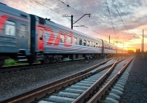 В Воронежской области произошла трагедия: 11-летний мальчик, увлекавшийся «зацепингом», получил тяжелейшие ожоги, поразившие 90% поверхности его тела. Инцидент произошел 11 октября, когда ребенок, находясь на электропоезде, попал под воздействие электрической дуги