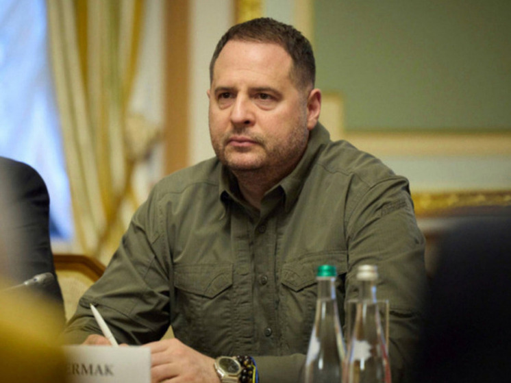 Ермак: звонок Путина испортил встречу Зеленского с Трампом