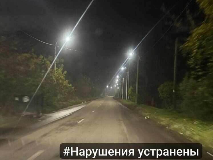 Директор «Тулаавтодора» получил представление из-за темной дороги в Горбачево
