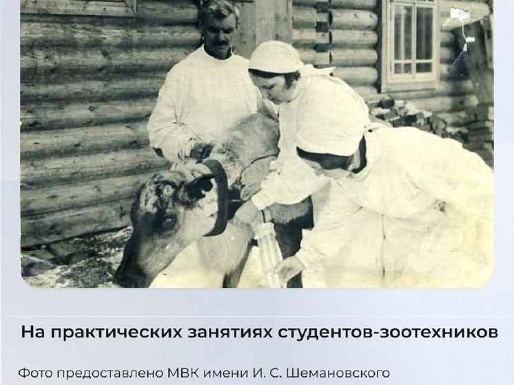 Ямальская служба ветеринарии отмечает 100-летний юбилей