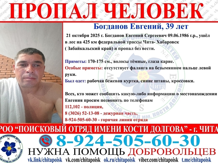 Вахтовик возвращался домой и пропал в лесу в Забайкалье