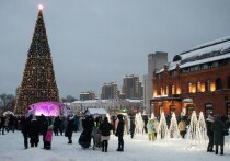 В Пензе реализуют закупку новой 25-метровой искусственной ели, которая заменит устаревшую конструкцию, служившую горожанам почти десять лет. Решение о замене главной новогодней красавицы было принято городскими властями после оценки состояния старой ёлки, а также с учётом мнения жителей. Каркас ели утратил надёжность, а внешний вид новогоднего символа заметно ухудшился.