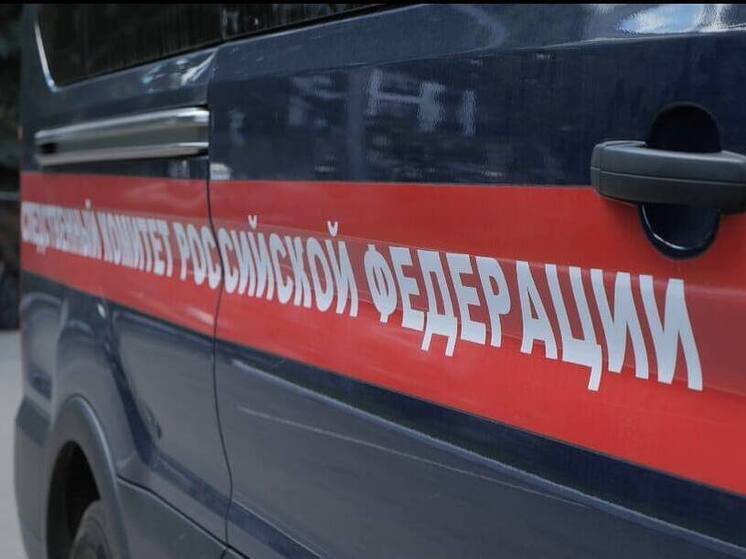 В Тульской области 72-летний пенсионер палкой убил своего неприятеля