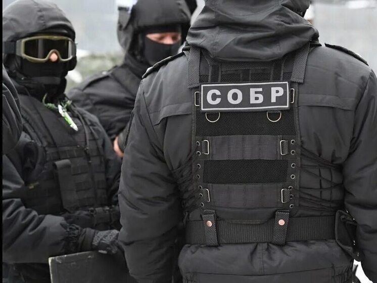 В Карелии сотрудники силовых структур произвели задержание сторонника украинской стороны, подозреваемого в диверсионной деятельности