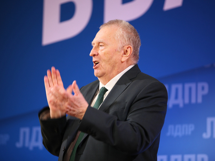 Резиденцию Жириновского в Москве выставили на продажу за 800 млн рублей