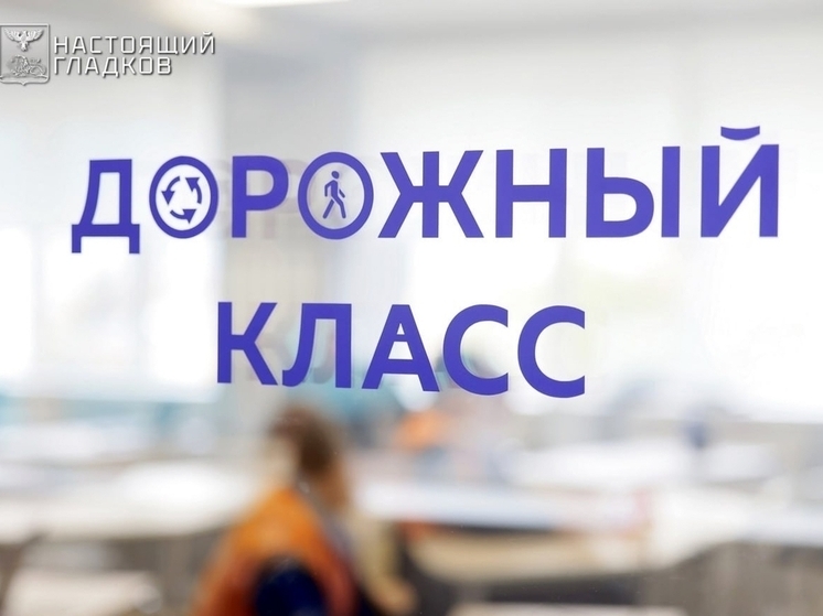 Работу белгородских дорожных классов показали на Международной выставке