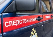 Специалисты выясняют детали происшествия