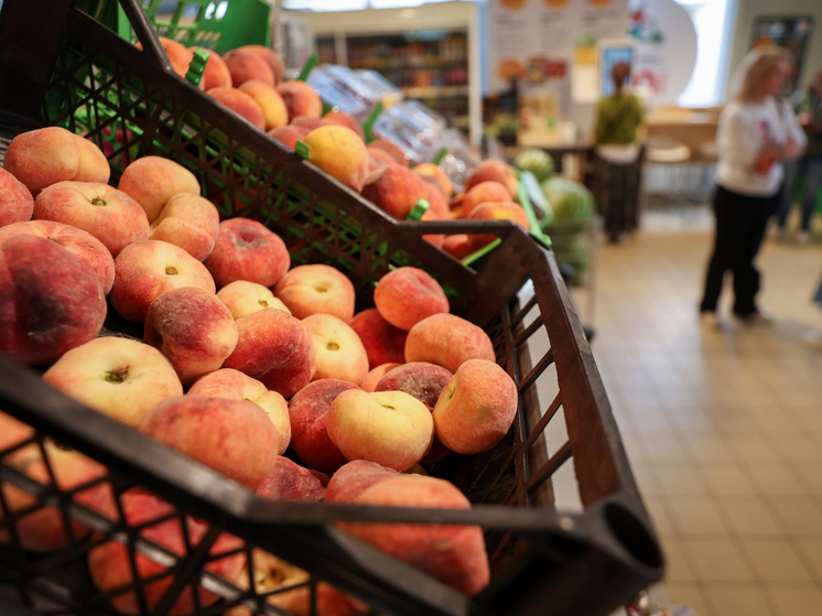 Чернышова: подсчет калорий может становиться причиной потери социализации