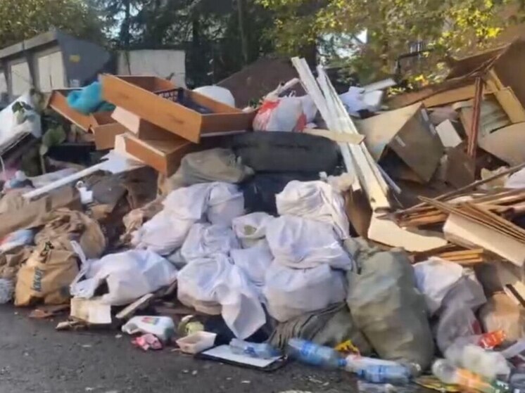 Депутат Тозлян вмешался в проблемную ситуацию с вывозом мусора в Сочи