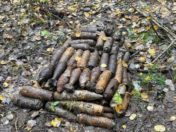 В Новгородской области в месте прохождения ВСМ нашли 2500 снарядов