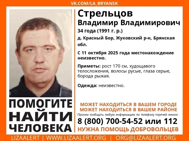В Брянской области ведутся поиски пропавшего 34-летнего Владимира Стрельцова