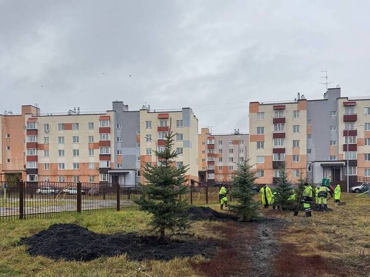 Коммунальные службы Пензы проводят комплексное благоустройство города