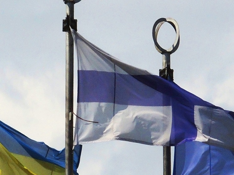 Helsingin Sanomat: Финляндия возьмет в долг 100 млн евро на оружие для Украины