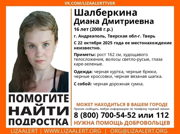 Девушка-подросток из Тверской области не выходит на связь уже сутки