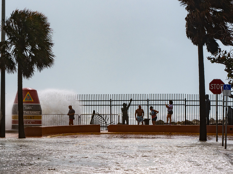 Жители Флориды сообщают о массовом появлении ядовитых щитомордников после ливней