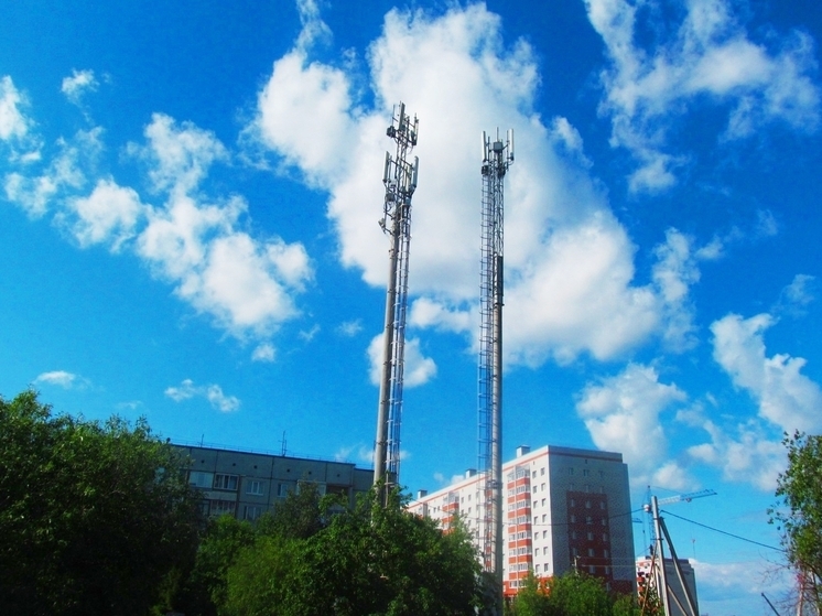 Вологжане могут проголосовать до 9 ноября за поселок, куда проведут интернет в 2026 году