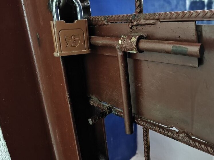 Организатор онлайн-продажи наркотиков сядет в тюрьму почти на 6 лет в Петербурге