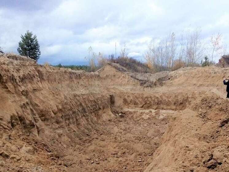 Очередную добычу песка без документов пресекли воронежские экологи