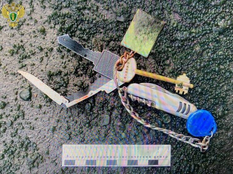 Пьяная потасовка в Марий Эл закончилась убийством