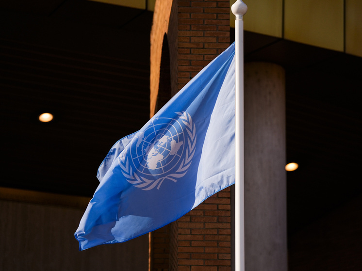 24 октября отмечают День ООН и День борьбы с полиомиелитом