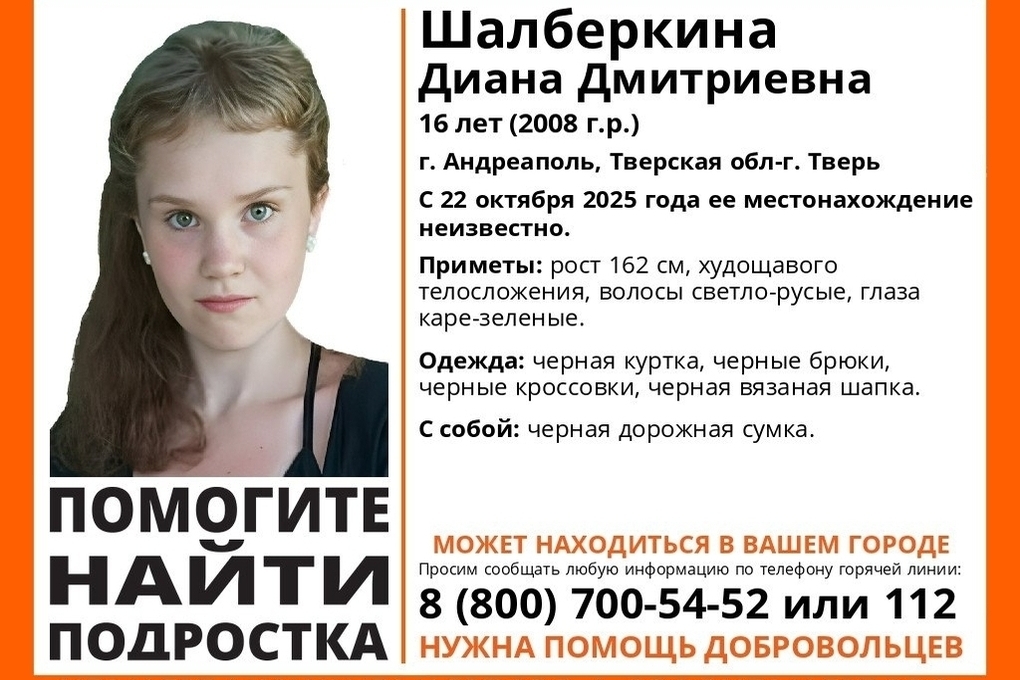 Девушка-подросток из Тверской области не выходит на связь уже сутки