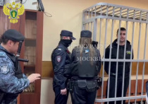 Выяснились подробности приговора российскому блогеру Андрею Сидоропуло, укравшему около 8,3 миллиона рублей у 40 человек