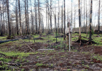 В Надымском районе археологический памятник стал шестисотым объектом культурного наследия Ямала