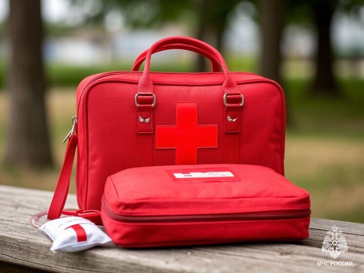 Псковичам напомнили о правилах безопасного хранения аптечки