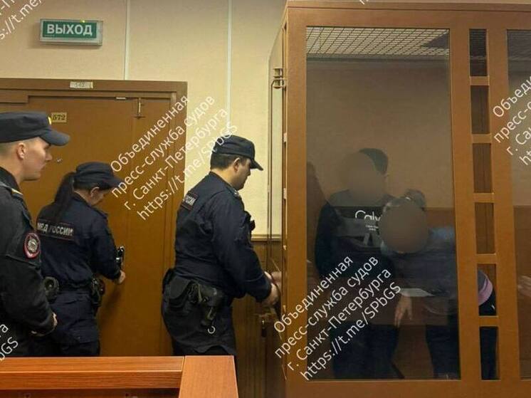 Уборщица с сыном обмотали скотчем пенсионерку и ограбили её дом в Петербурге