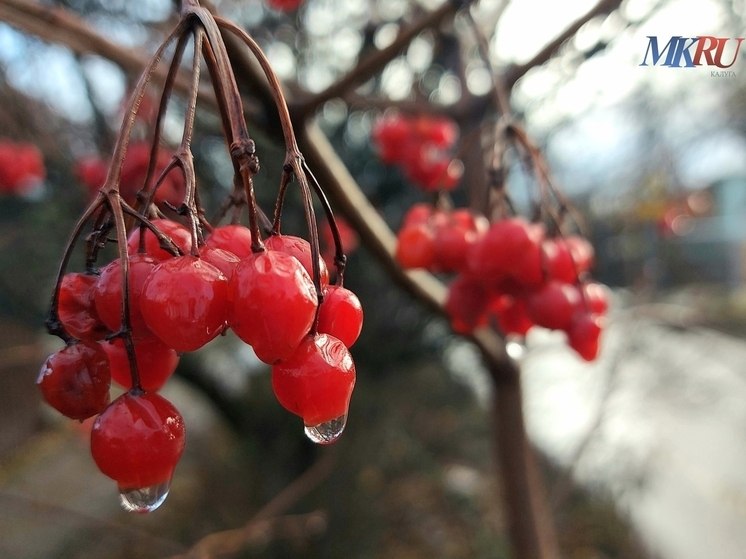 Калужанам пообещали не очень дождливую пятницу