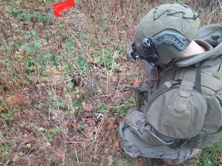 Добровольцы бригады «Барс-Курск» обезвредили 1412 взрывоопасных предметов