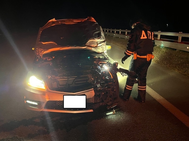 Два пешехода погибли под колесами автомобилей на свердловских дорогах