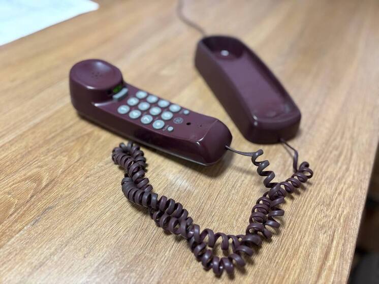 В Пензенской области зафиксированы мошеннические звонки под видом сотрудников Минздрава