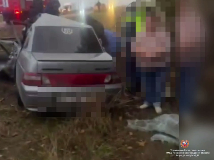 В Белгородской области парень и девушка пострадали в ДТП с грузовиком