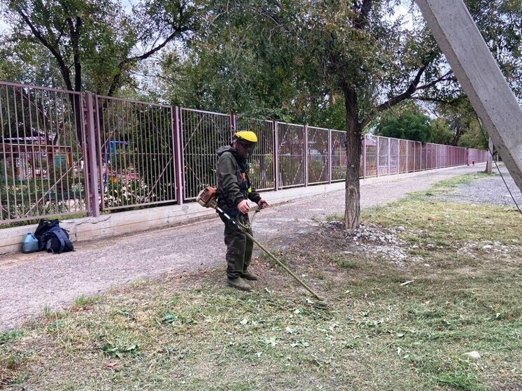 Астрахань скосила 500 гектаров сорняков с начала года