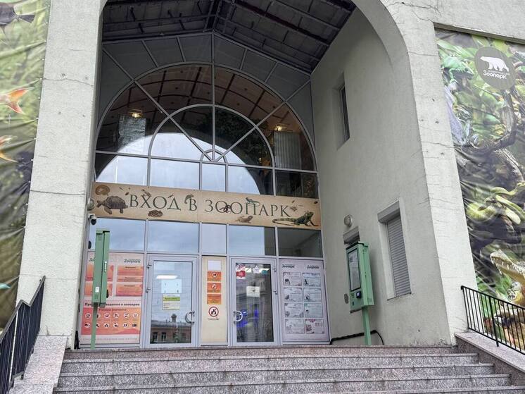 В Ленинградском зоопарке львице Таисии снова преподнесли в дар зеленую игрушку