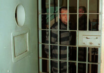 В России разрабатывается новая Концепция уголовной политики, которая определит стратегию государства по борьбе с преступностью на ближайшее будущее
