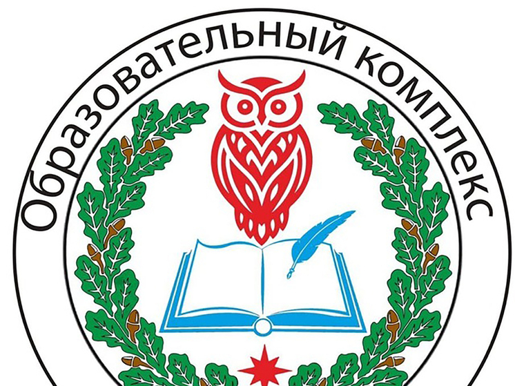 Концерт, приуроченный ко Дню народного единства, пройдёт в пущинской гимназии