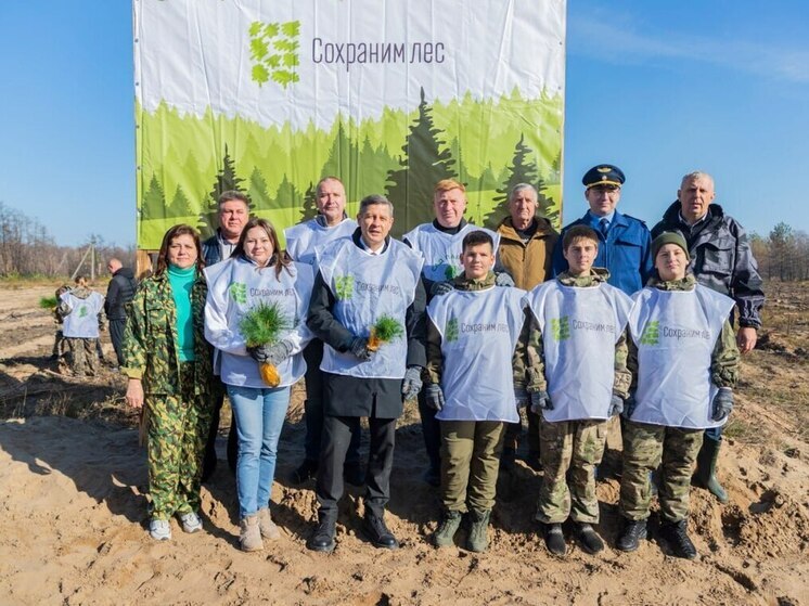 В ЛНР дан старт акции "Сохраним лес": десять тысяч саженцев высадили в Станично-Луганском лесничестве