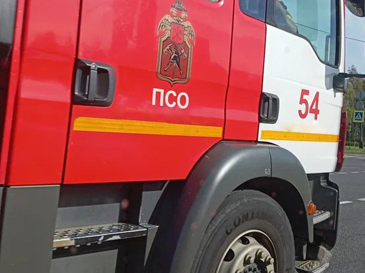 В Новгородском округе во время пожара погибла женщина