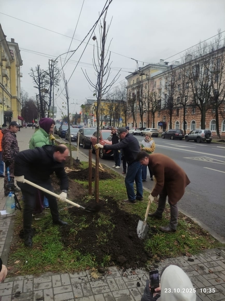 В Ярославле бизнесмены озеленили улицу Свободы