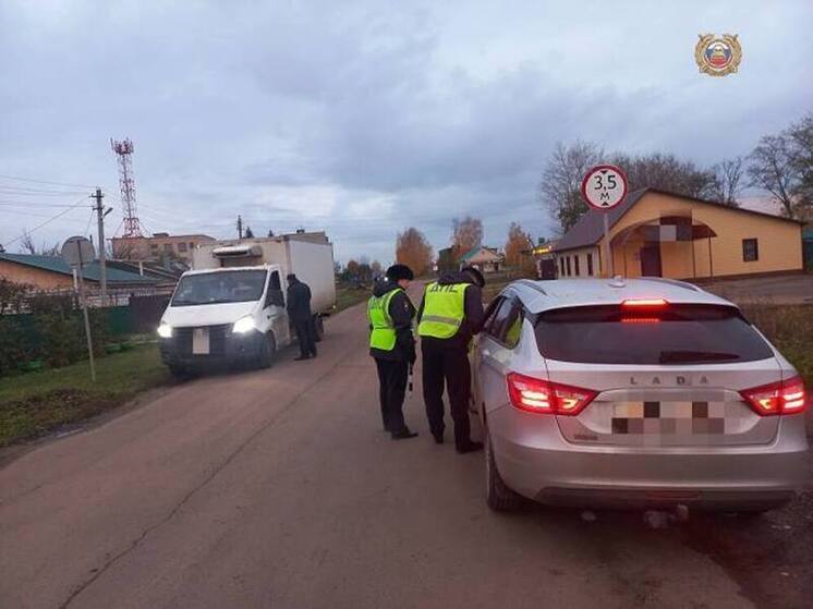«Пристегните самое дорогое»: тамбовские автоинспекторы проверили, как перевозят детей