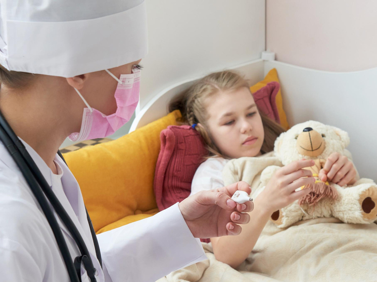 Германия — Не мясо? А если мясо!