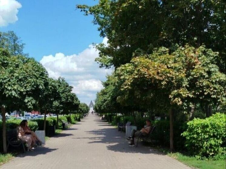Стал известен размер прожиточного минимума воронежцев в 2026 году