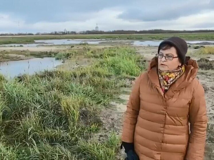 Разрыли и забили: рекультивация Кегострова так и не началась